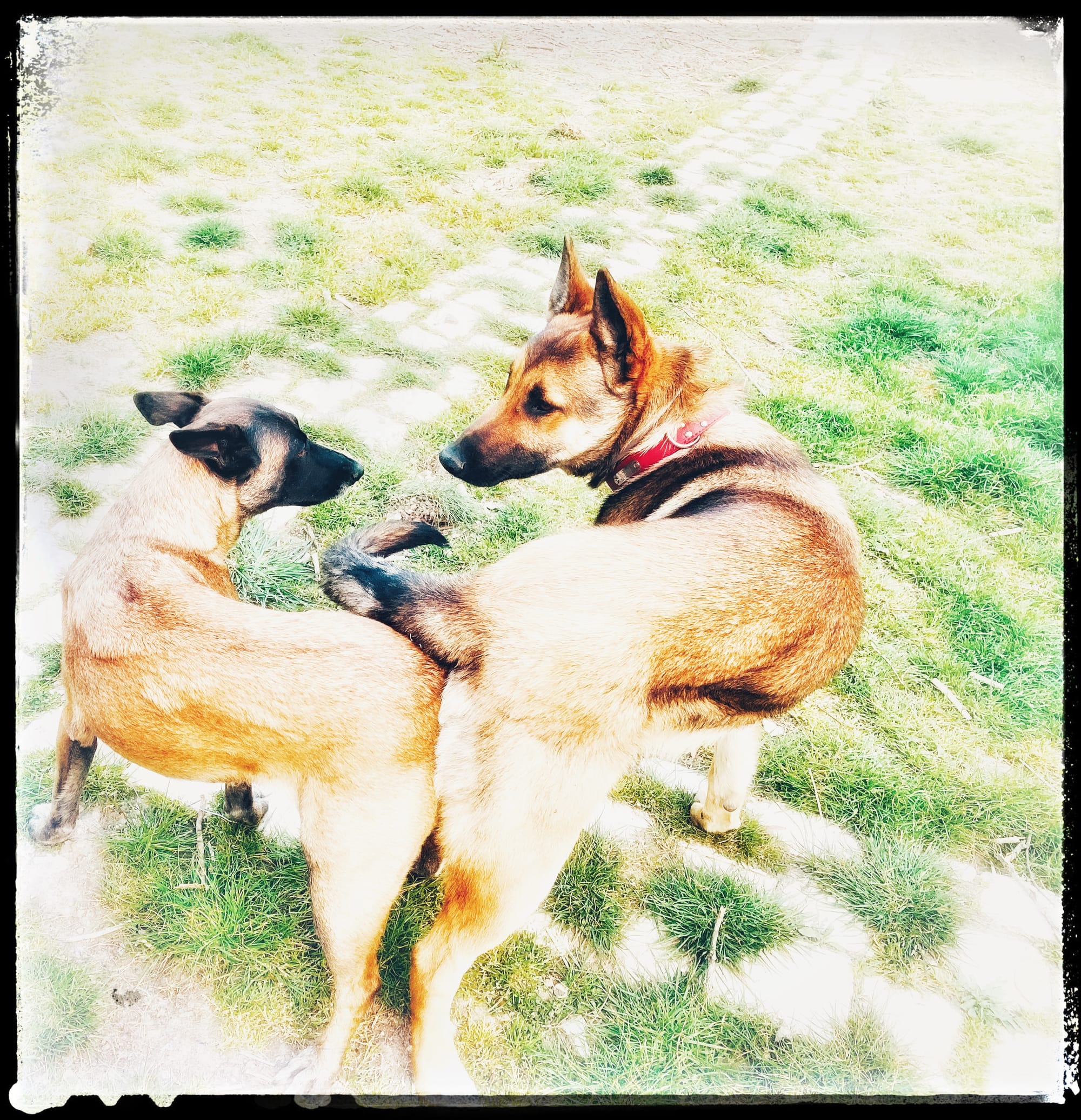 Si mon Ego m'était conté... A1C8