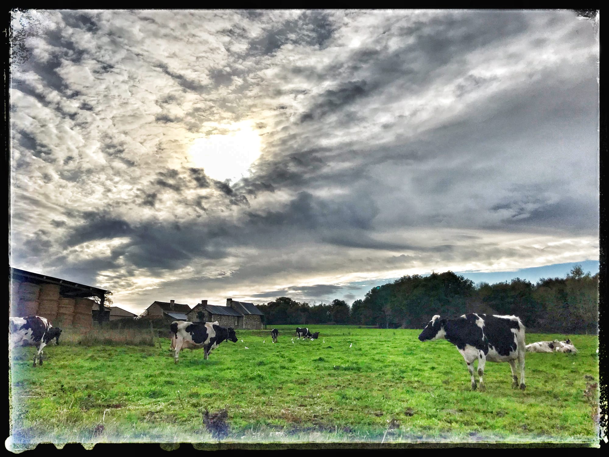 Si mon Ego m'était conté... A1C8