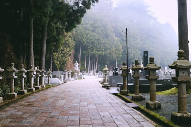 Une allée dans un cimetière, bordant les rangées.