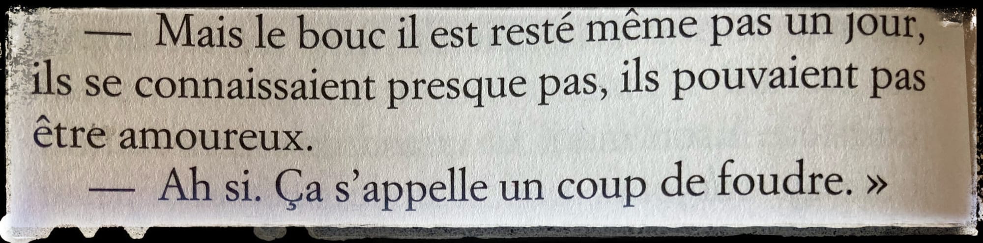 « Toute ma vie, j’ai rêvé, d’être une hôtesse de l’air… »