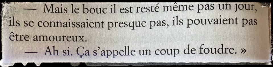 « Toute ma vie, j’ai rêvé, d’être une hôtesse de l’air… »