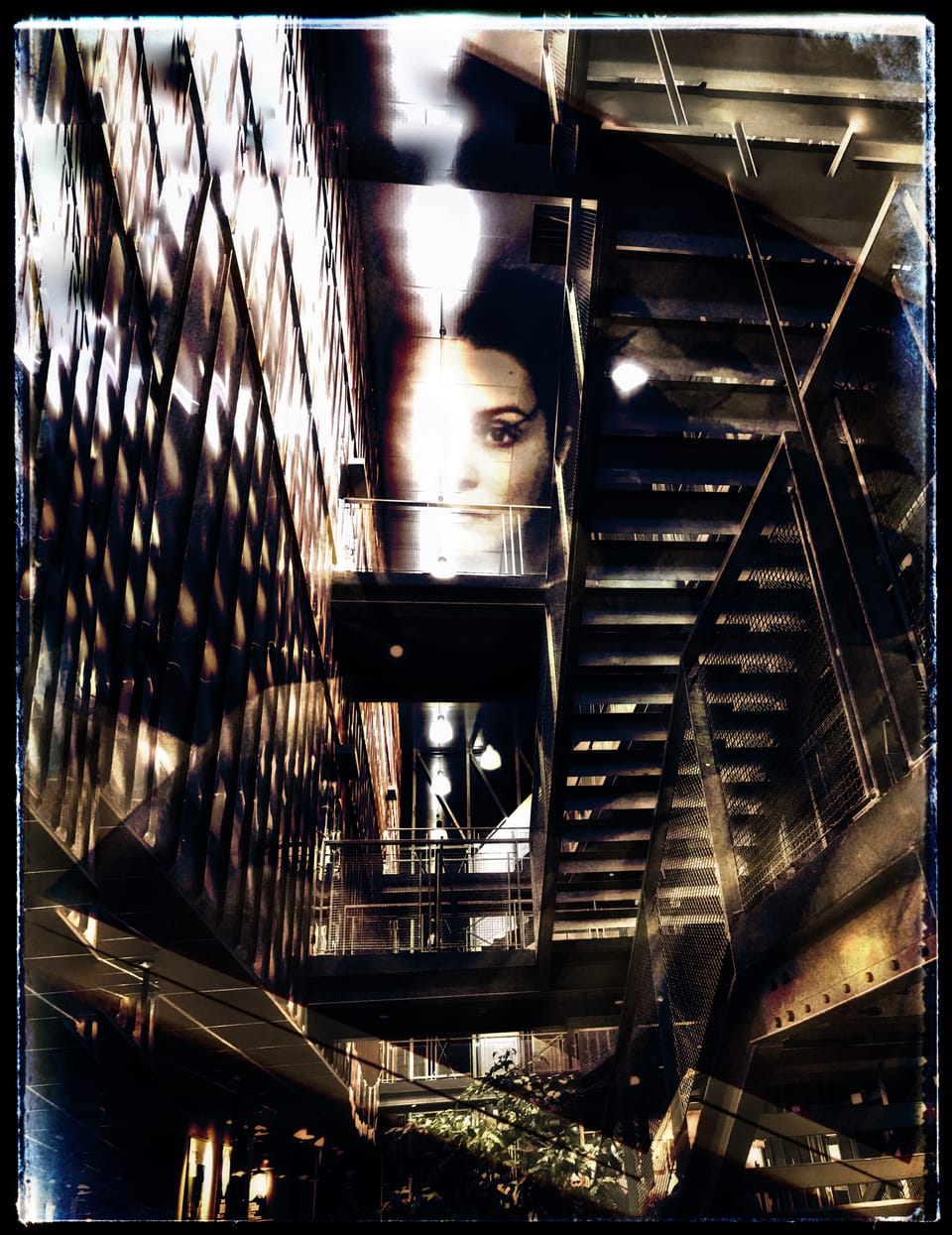 Luce