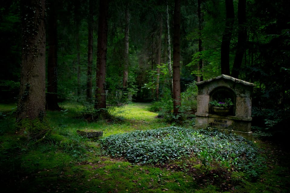 Une pierre tombale devant un parterre floral au coeur d'une forêt.